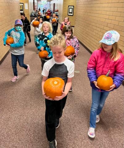 hauling their pumpkins back to class