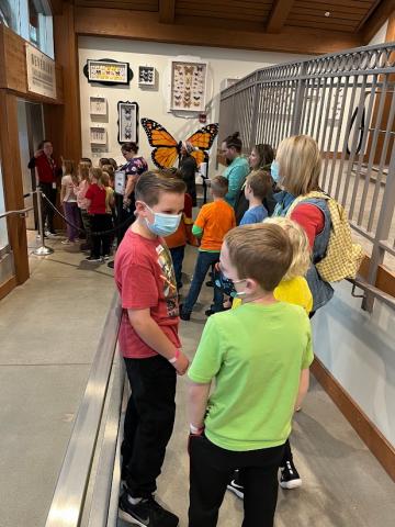 Visiting the Butterfly Biosphere.