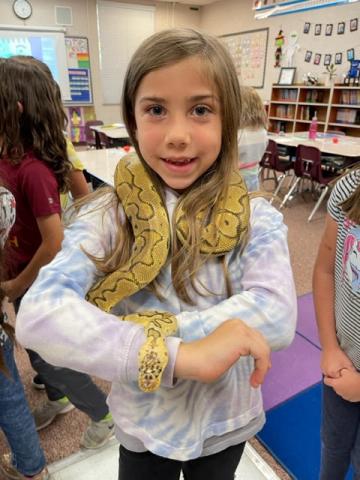 Class visitors, Mrs. Petersen's snake