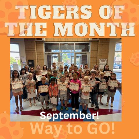 Tigers of the Month