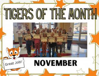 Tigers of the Month